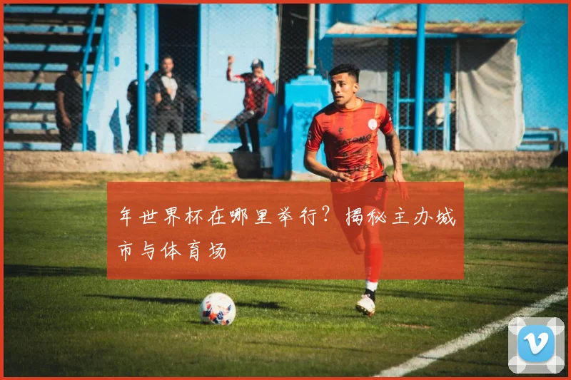年世界杯在哪里举行？揭秘主办城市与体育场