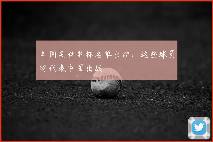 年国足世界杯名单出炉，这些球员将代表中国出战